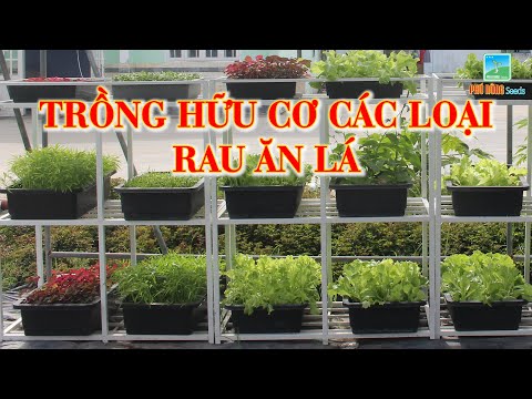 Video: 3 cách để ăn hữu cơ