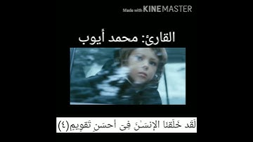 سورة التين | محمد أيوب