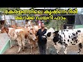കേരളത്തിലെ കൃഷ്ണഗിരി|kerala's biggest dairy farm