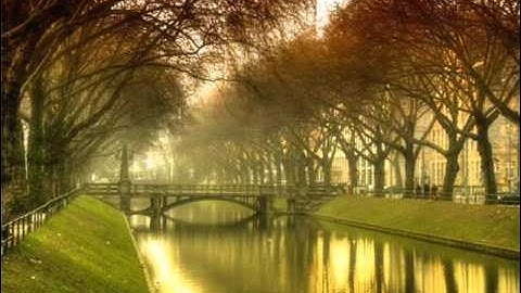 Antonín Dvořák - Serenade for strings in E major (1876) #antoníndvořák #serenade #classicalmusic