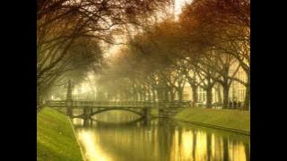 Antonín Dvořák - Serenade for strings in E major (1876) #antoníndvořák #serenade #classicalmusic