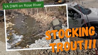RIGHT PLACE, RIGHT TIME! 🍀🎣 VA DWR Stocks Trout ON TOP OF US! | Rose River Lure Co