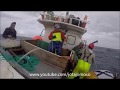 Fishing video / Pesca Açores- Pesca palangre ao Imperador, Longline fishing Alfonsino