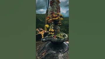 Bholenath status ☘️ Mahadev status 💫 shiv status #mahadev #shorts