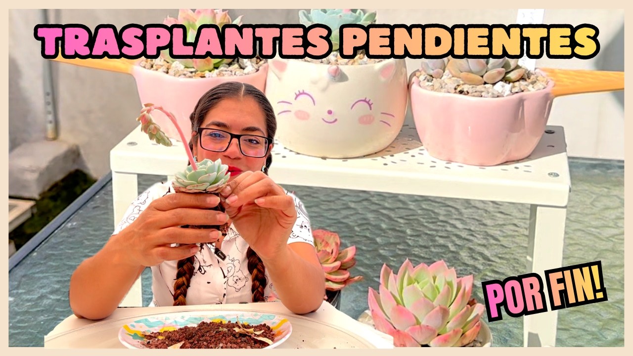 POR FIN! TRASPLANTO MIS SUCULENTAS PENDIENTES | AVANZANDO EN EL JARDÍN