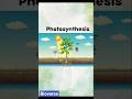 photosynthesis ❤#shorts #youtubeshorts #shortsfeed #facts #biotechnology #science #biology