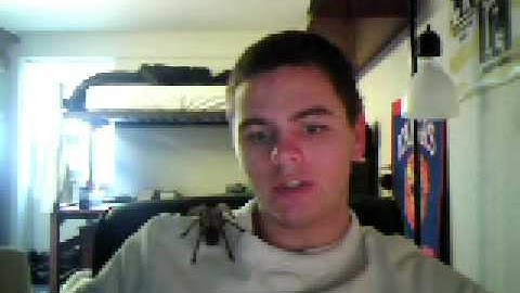 Co-dominant ball python genetics