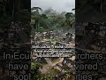 The Amazon's Secret: The Lost Cities Revealed