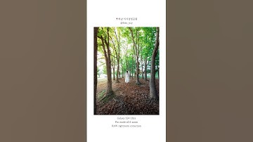 숲에서 인생사진 찍는 꿀팁 #사진잘찍는법 사진잘찍는법 #사진꿀팁 #사진작가 #사진찍기 #스마트폰사진 #스마트폰카메라 #스마트폰꿀팁 #갤럭시 #아이폰 #폰카 #인물사진 #스냅사진