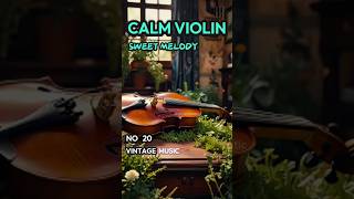 Violin Vibes In The Morning/ CALM/ for Chill / Work / Study / Relax/ Rest 【SMOOTH VIOLIN 20】