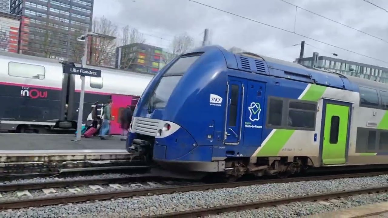 Sporting Lille Flandres du 13/02