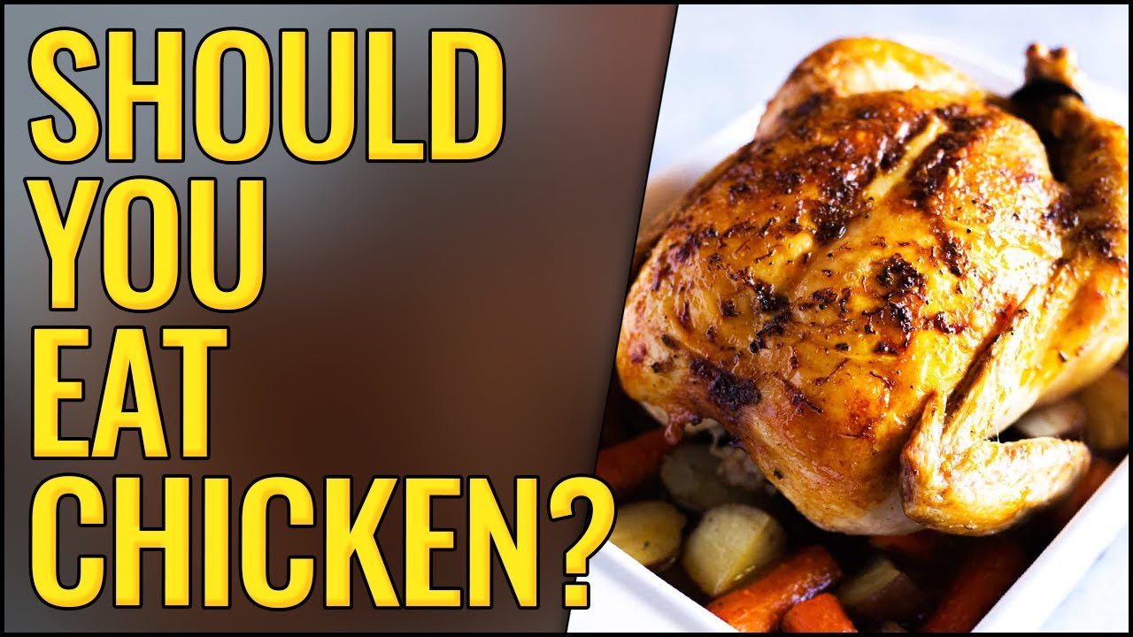 Should You Eat Chicken YouTube