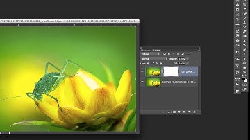How to apply selective sharpening in Photoshop
