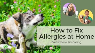 How to Naturally Stop Your Dog from Itching: Livestream with Rachel Fusaro and Dr Jones