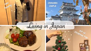 buy snacks at Daiso, grocery shopping, Odawara Castle, put up Christmas tree Japan Vlog