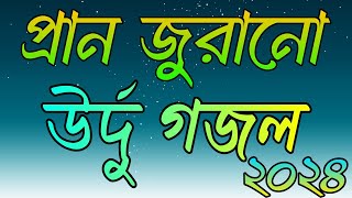 প্রান জুরানো উর্দু গজল ২০২৪ | Duniya kiye musafir | Urdu ghazal | Islamic new Gojol