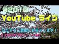 第201回ちかこの部屋YouTubeライブ!ひたすらご質問にお答えします!