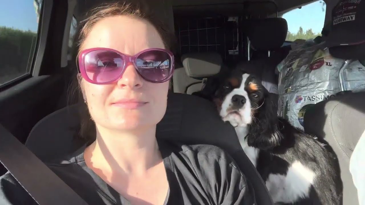 Из Мюнхена в Аликанте за 6 минут. Кавалер кинг чарльз спаниель уже в пути!