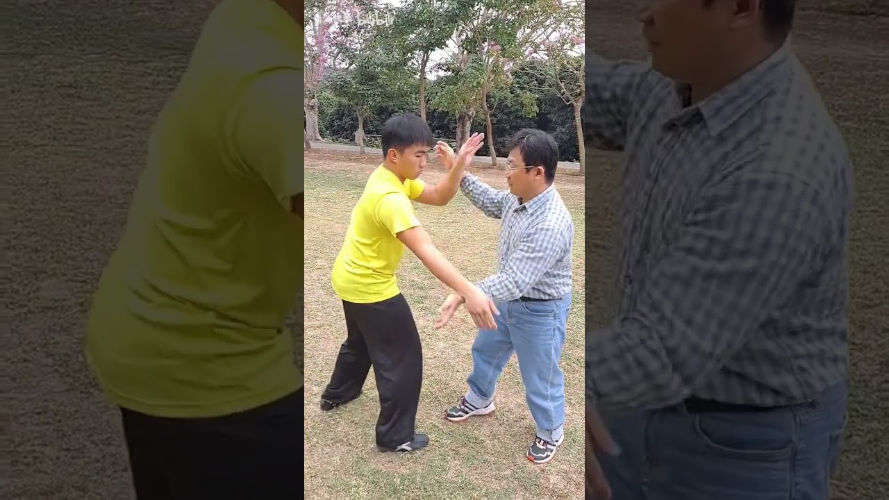 White Crane 鶴拳 - Three Battles 三戰 Partner Work #shorts #kungfu #whitecrane