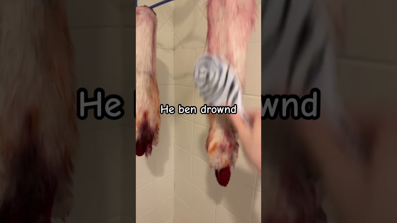 preview_player