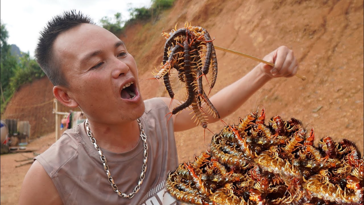 Ăn 20 Con Rết, Chú Anh Cắt Cơn Món Rết Chiên Giòn Với Ớt Siêu Cay ...