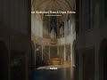 Afternoon Meditation | Piano &amp; Organ | Velora Silence #오후명상 #AfternoonMeditation #VeloraSilence