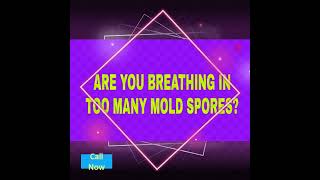 Black Mold Inspection Land O Lakes FL 813-358-4766 TampaBayMold.net #blackmold #moldremoval
