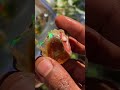 Crystal opal for collection