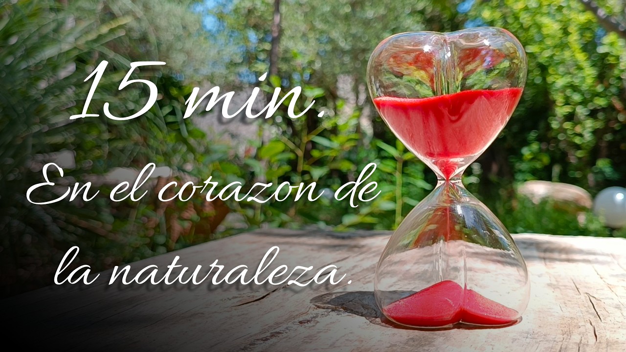 15 минут. Песочные часы ⏳ в сердце природы 🌲🌳🌳.