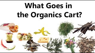 Organics Recycling in Davis -- What goes in the cart