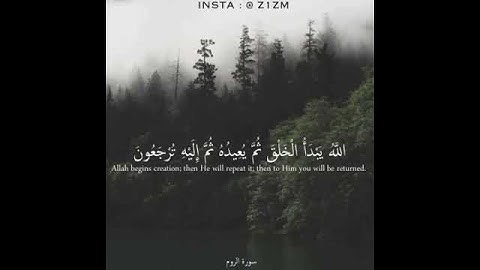 حالات واتس اب ديتيه/تلاوات دينيه قصيره/مقاطع دينيه انستقرام