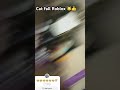 #roblox #catscratch #robloxmemes