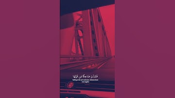 فَتَبَسَّمَ ضَاحِكًا مِّن قَوْلِهَا #سورة_النمل #ايات_قرانيه_قصيره #آيات_القرآن_الكريم #ايات_مؤثرة