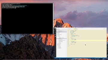 07  Connecting Loopback to Local db memory