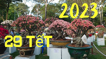 Hội hoa xuân công viên Tao Đàn 29 tết năm 2023.