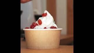 The Soft Serve Ice Cream/Frozen Yogurt Business Course | TOP Creamery