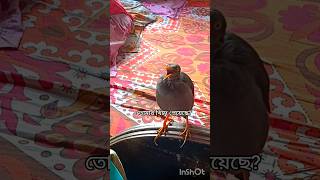 মতর খদ পযছ ? Viral