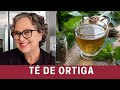Los Increíbles Beneficios del Té de Ortiga (Tome a Diario) | The Frugal Chef