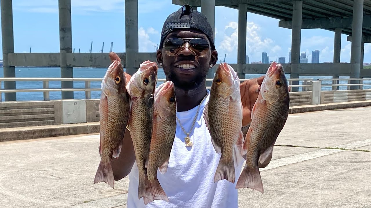 Mangrove Snapper Catch and Cook