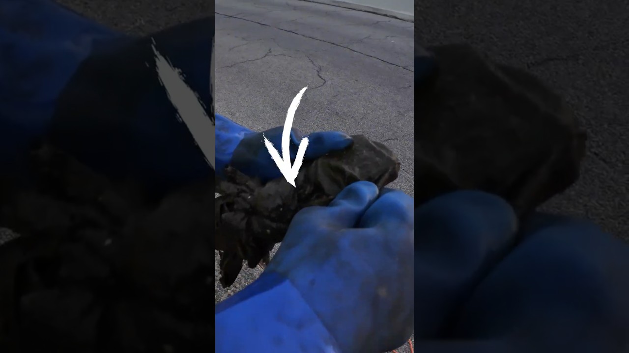 When the finds are small but mighty 