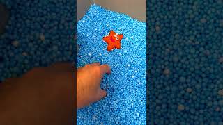 Starfish Toys down slide