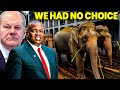 Botswana threatens to send 20000 elephants to germany