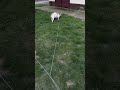 Ох уж эта ВЗРОСЛАЯ ЖИЗНЬ 😖