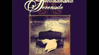 Secondhand Serenade-Take Me With You