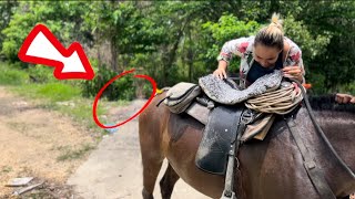 Encontramos el caballo sin cabeza by Familia Terán 6,070 views 2 weeks ago 1 minute, 27 seconds