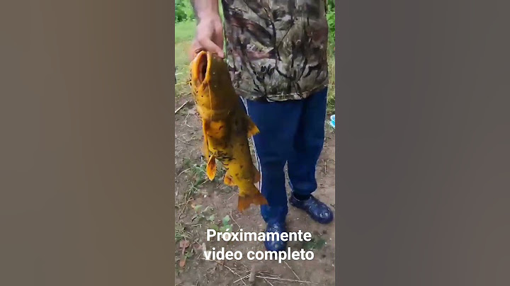 Catfish in the Cauca River #catfish #fishing #fishing #fishingline #fish