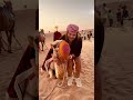 Camel†S And Adventures My Kind Of Therapy рџ Dubai Camels Desert Desertsafaridubai Redsand Camel†S And Adventures My Kind Of Therapy рџ Dubai Camels Desert Desertsafaridubai Redsand