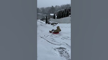 Epic fail snow sledding #shorts #shortvideos #adventures #short #foryou #fun #funny
