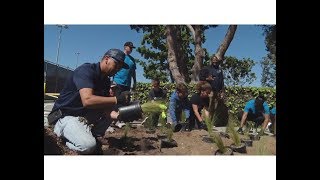 Arbor Day 2019
