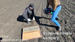 Бурение почвы на влагу. Обзор образцов.